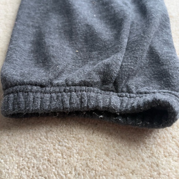 American Eagle Outfitters Gray Fleece Pants - Picture 7 of 7